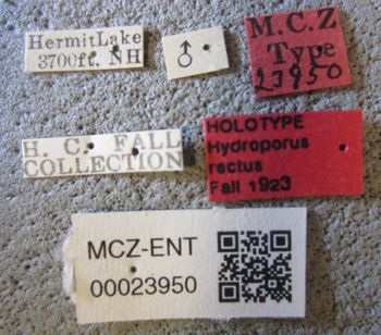 Media type: image;   Entomology 23950 Aspect: labels